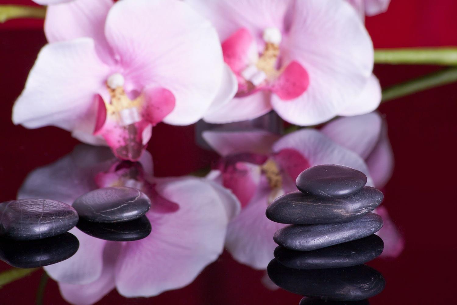 Apprendre les techniques du massage-bien-être en week end