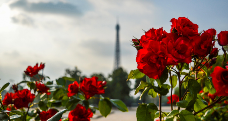 Saint Valentin 100% love !